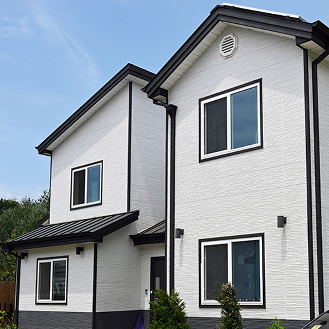 IMS_01 Longish Stone case1