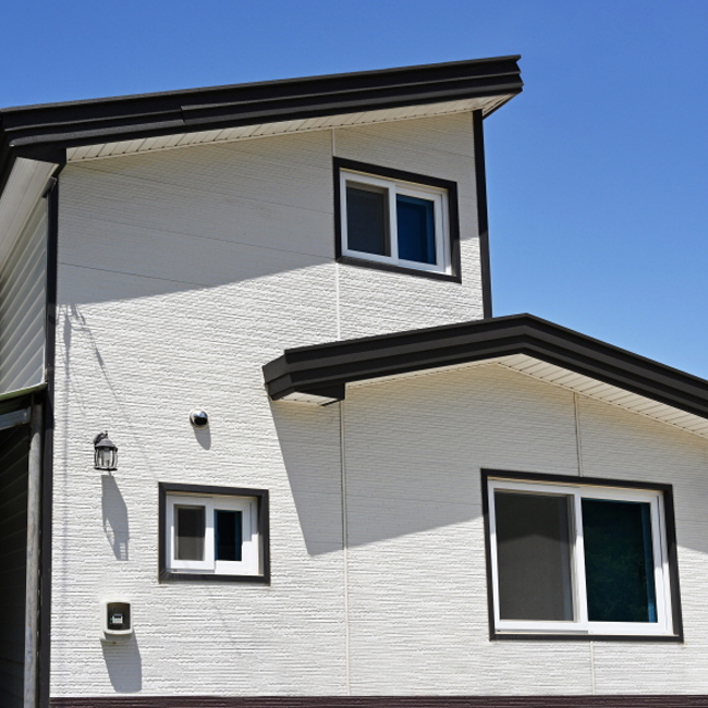 IMS_01 Longish Stone case2