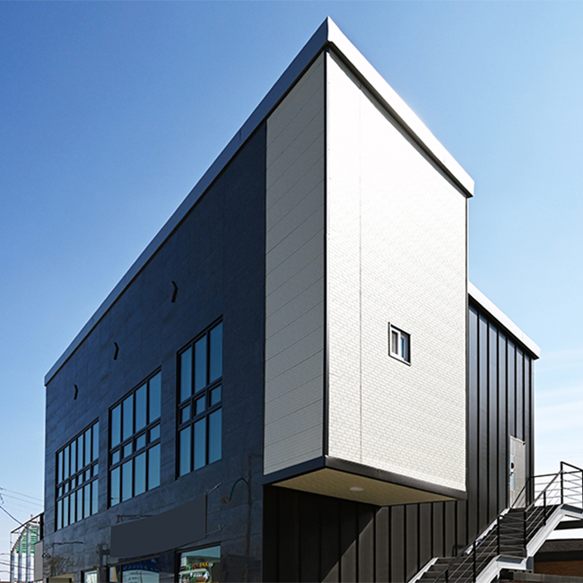 IMS_06 Classic Brick case1